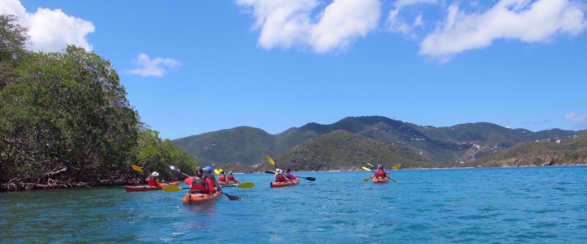 Picture of Adventures in the Caribbean Female travel group kayaking through caribbean