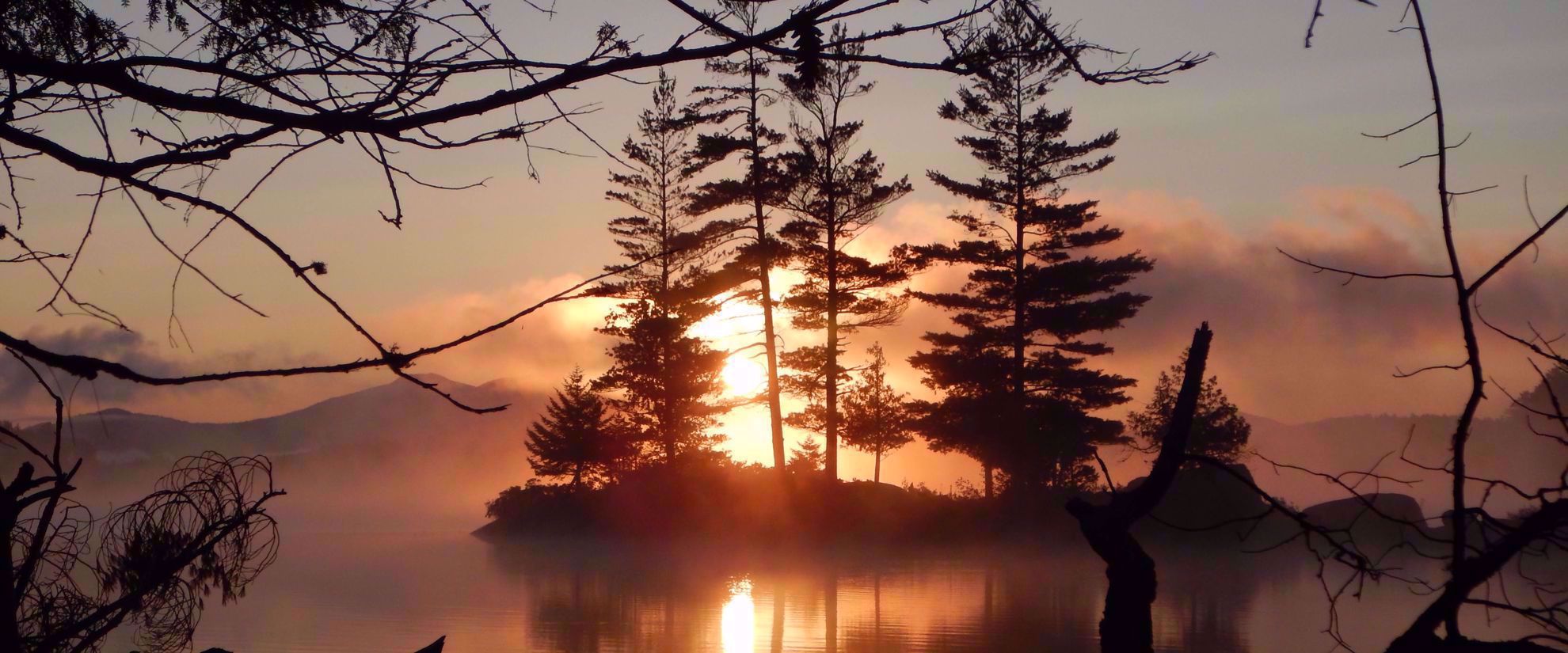 sunset through trees over lake