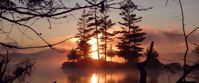 sunset through trees over lake