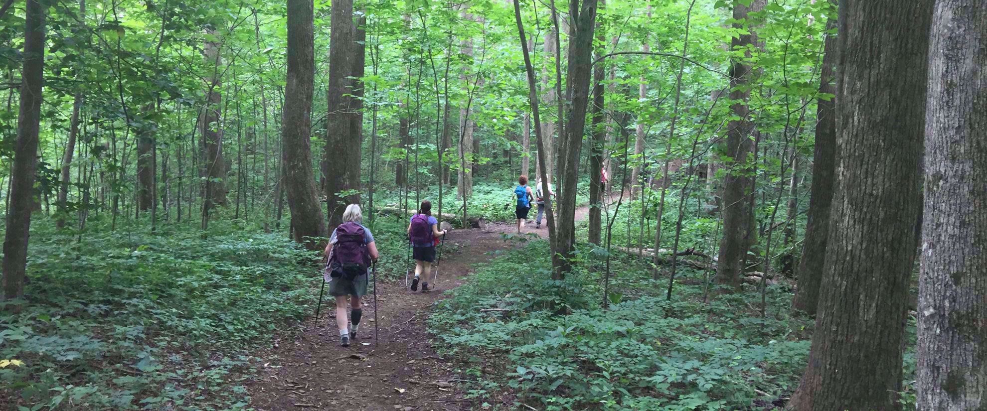 women hiking through lush green forest on appalachian trail