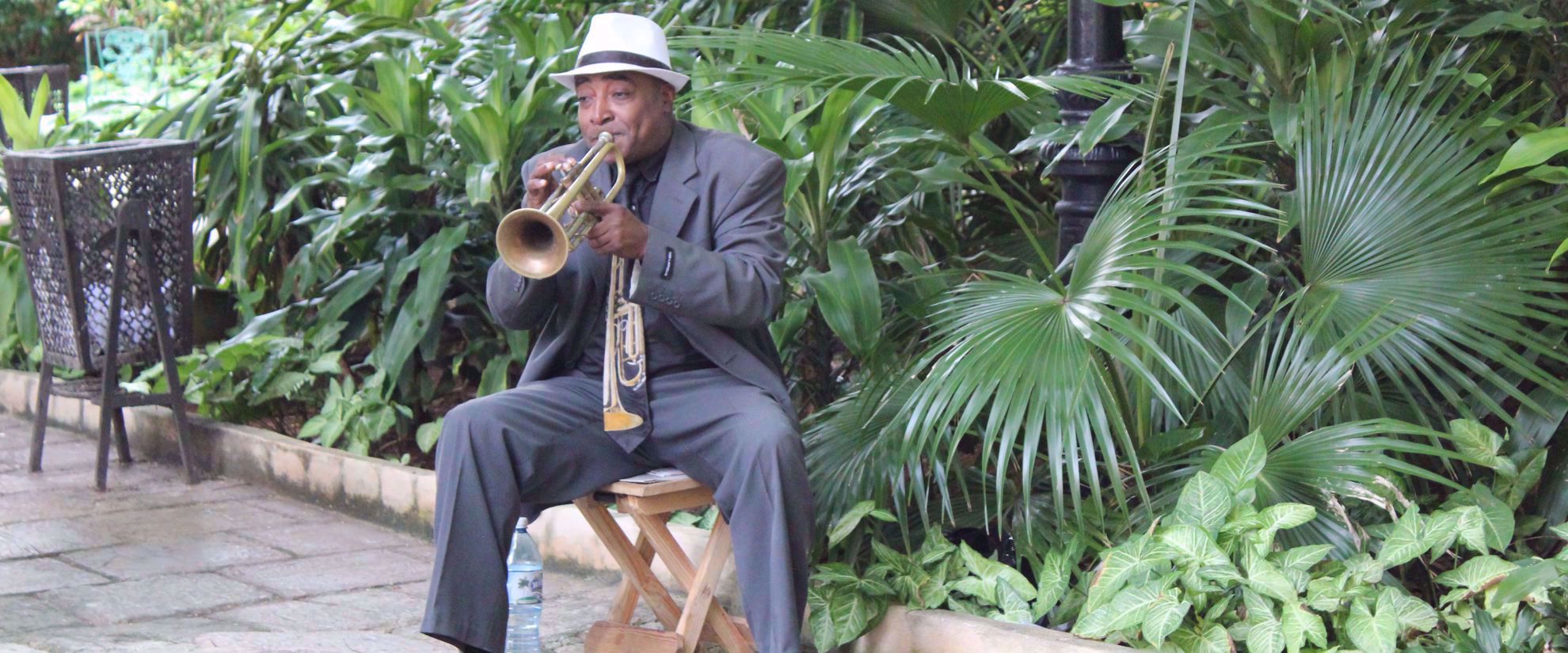 Picture of Discover the Rhythm and Heartbeat of Cuba Picture of Discover the Rhythm and Heartbeat of Cuba