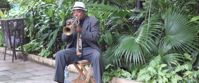 Picture of Discover the Rhythm and Heartbeat of Cuba