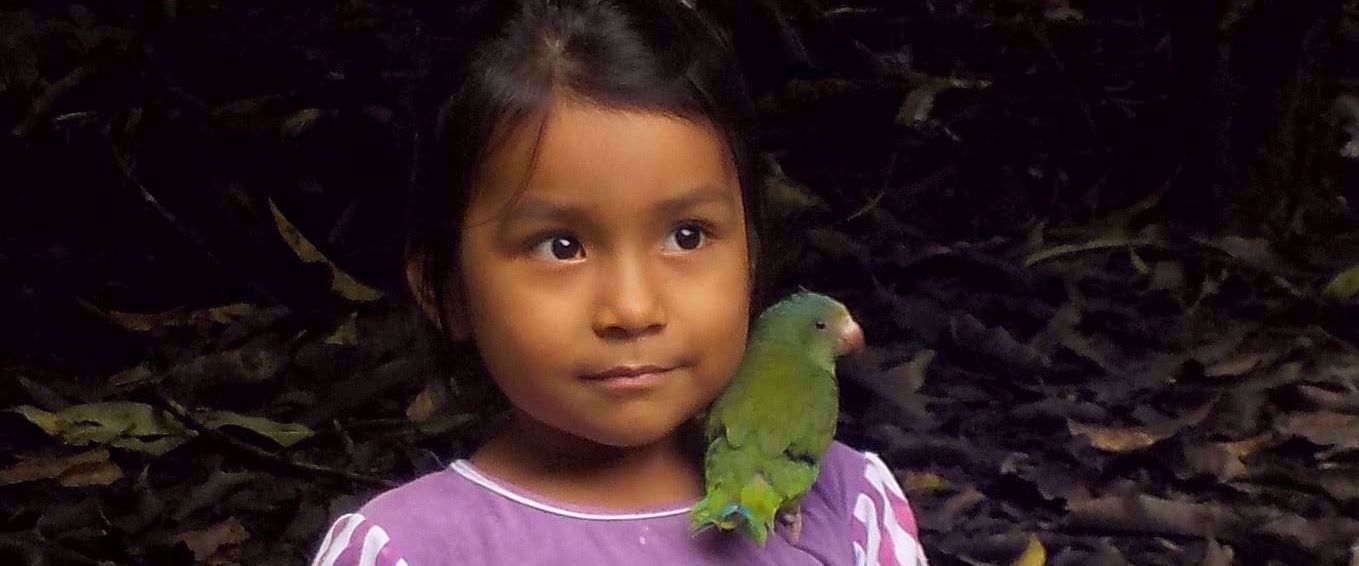 local ecuadorian girl with parakeet