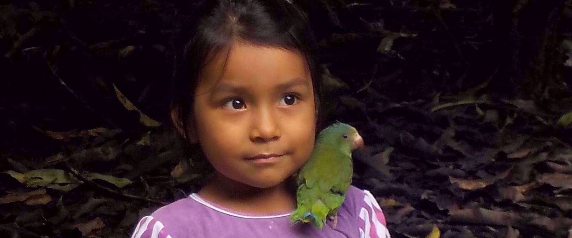 local ecuadorian girl with parakeet