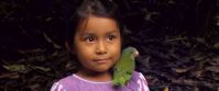 Picture of Ecuador's Amazon Jungle local ecuadorian girl with parakeet