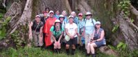 huge tree in amazon jungle women's group tour photo