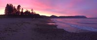 beautiful pink and purple sunset on the beach in nova scotia