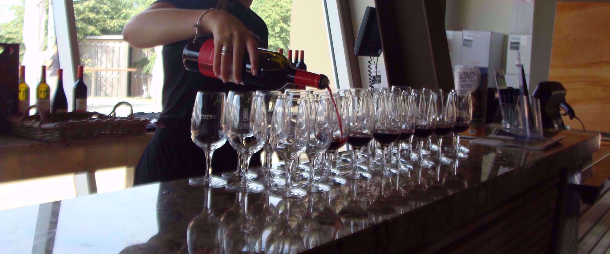 Picture of Highlights of Nova Scotia pouring red wine at wine tasting in nova scotia