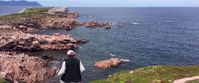 rocky coastline in nova scotia