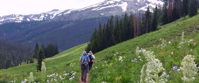 Picture of Hiking and Sketching in the Colorado Rockies women hike on trail through colorado rockies with wildflowers pine trees and mountains