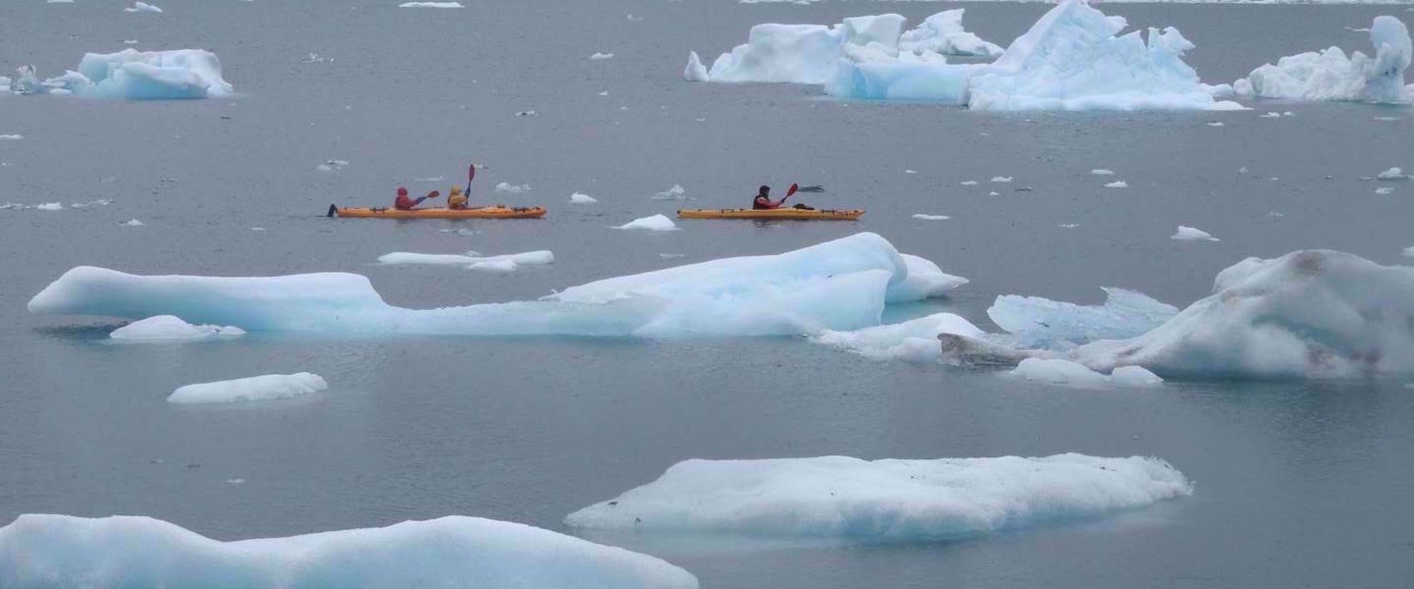 Picture of Hiking and Kayaking in Greenland kayaking in greenland with icebergs