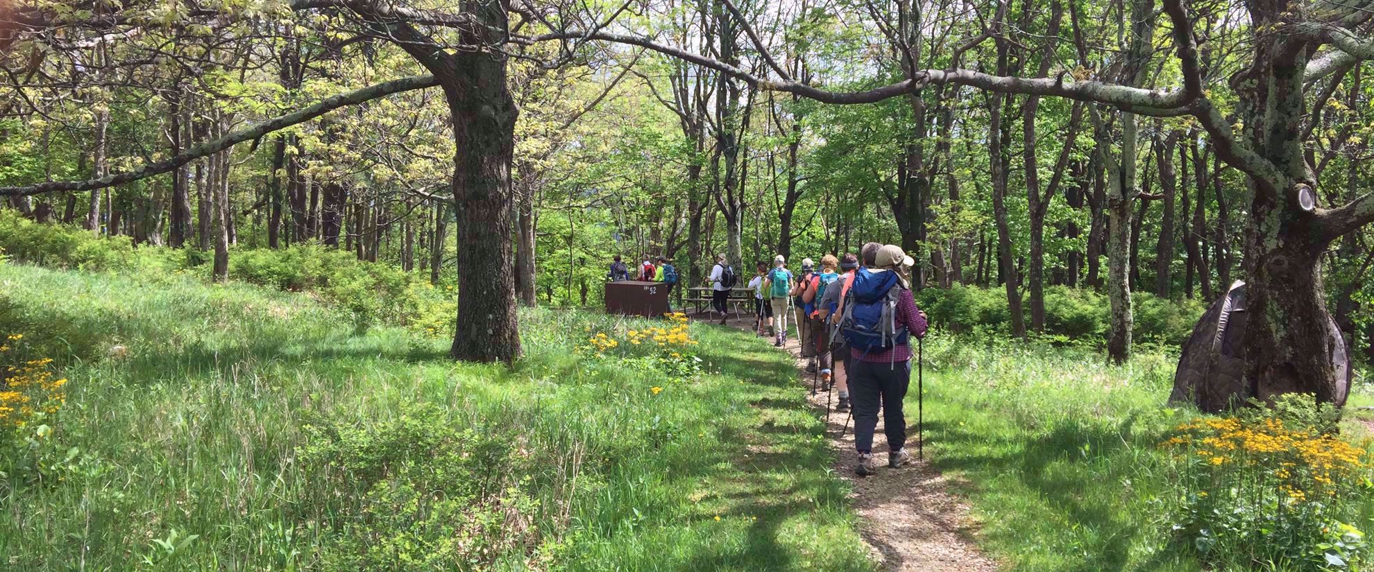 Picture of Hiking Lodge to Lodge on the Appalachian Trail hiking the appalachian trail with all women's travel group