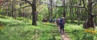 hiking the appalachian trail with all women's travel group