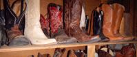 Picture of Living the Cowgirl Life Picture of Living the Cowgirl Life