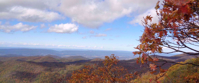 autumn leaves and colors on the appalachian trail