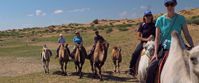 women's tour group riding camels in mongolia