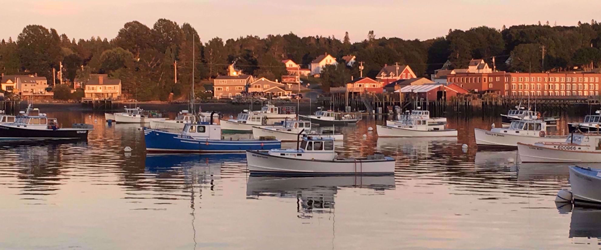 boats in harbor during sunset maine