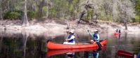 Picture of On the Suwannee River kayaking suwannee river with adventure travel group
