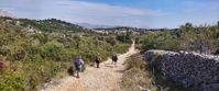 hiking on gravel trail surrounded by greenery croatia