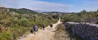 Picture of Pearls of the Croatian Coast hiking on gravel trail surrounded by greenery croatia