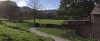 Picture of Tramping the Lake District pasture of sheep with rock wall in united kindgdom