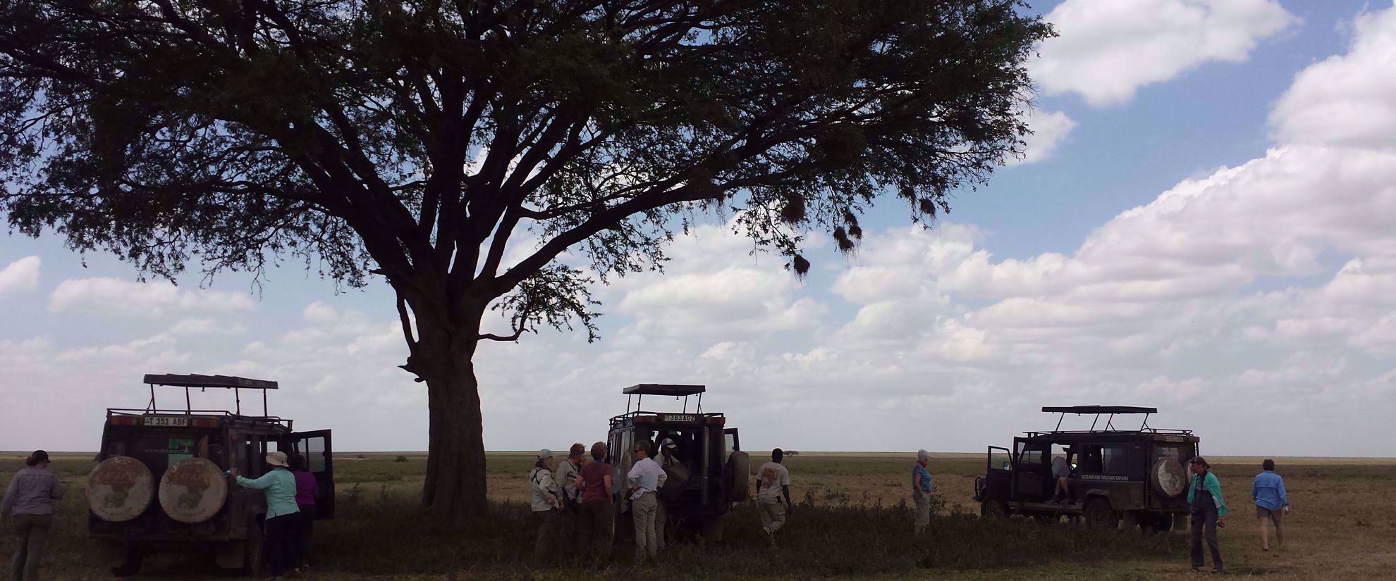 preparing for wildlife safari in tanzania
