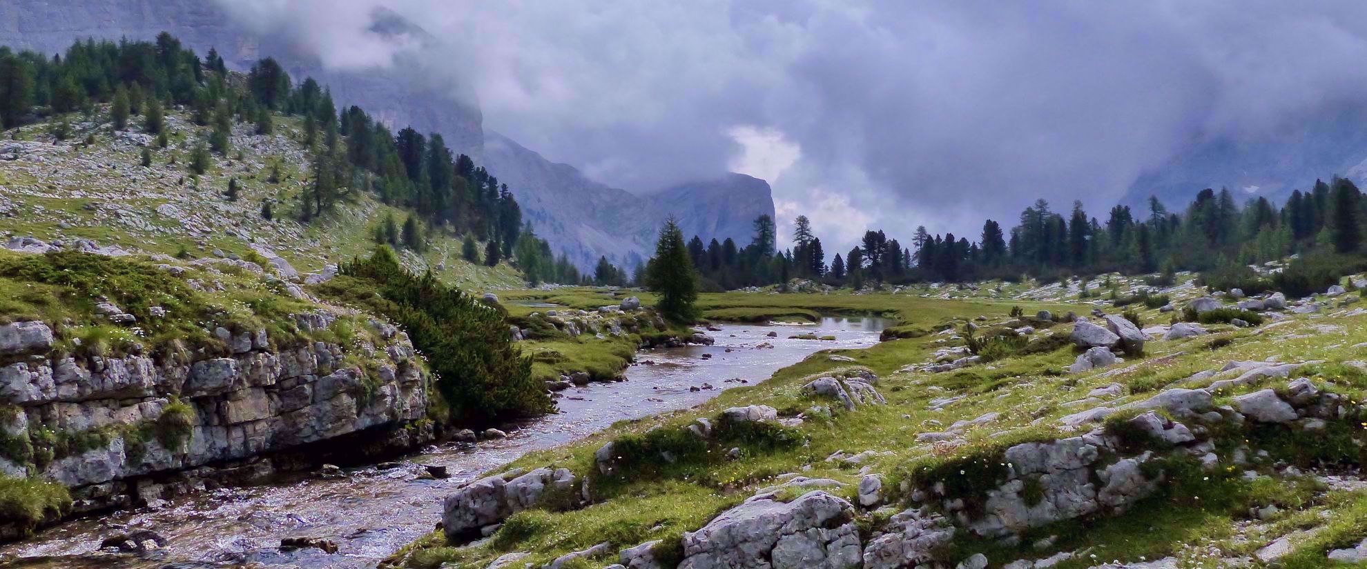 river flowing through wildflower field italy