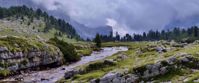 Picture of Hiking Italy's Northern Alps river flowing through wildflower field italy