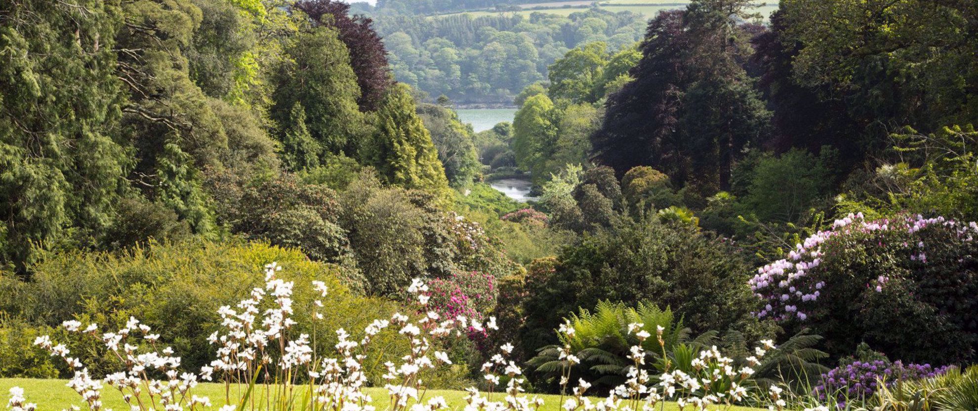 Trebah Gardens Trebah Gardens