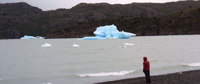 iceberg in Lake Grey