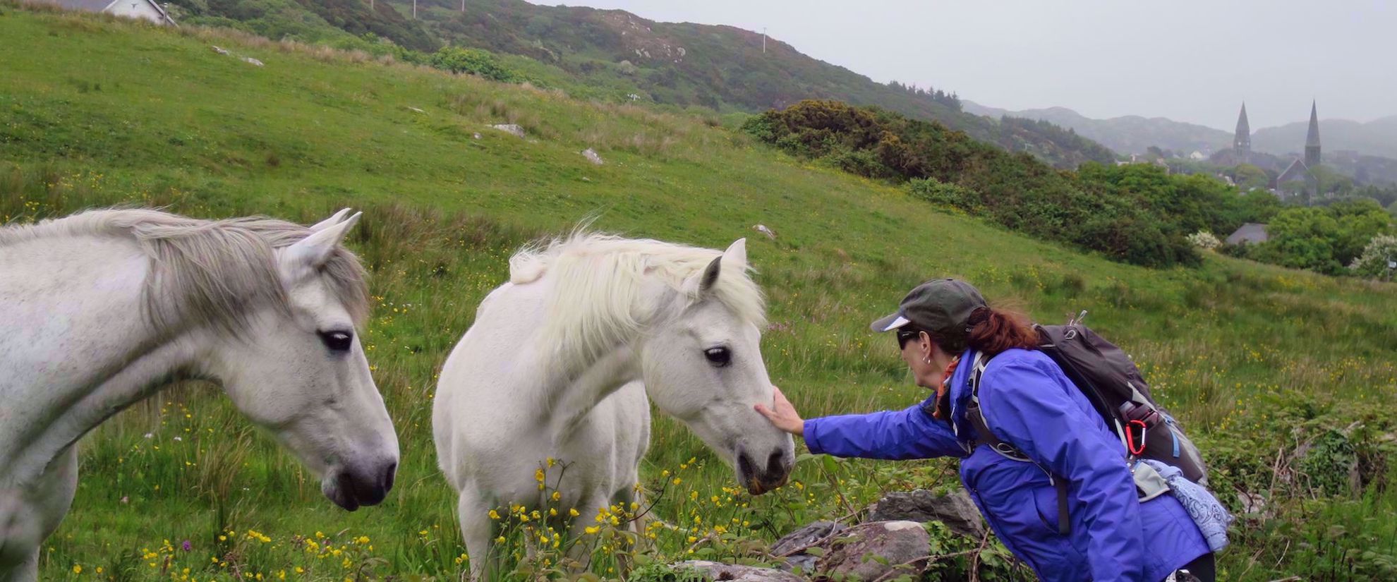 Woman patting horses in Connemara Woman patting horses in Connemara