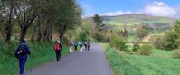 Beautiful Day on the Camino Group tour walking on paved camino de santiago with green rolling hills