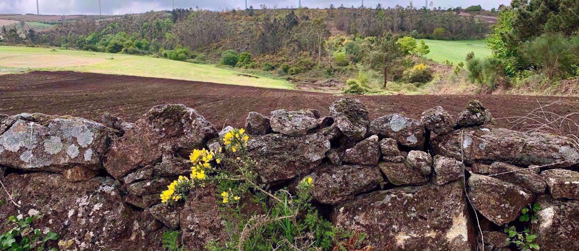 Countryside along Camino Rock wall by farmers field in Spain