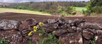 Countryside along Camino Rock wall by farmers field in Spain