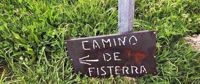 This way to Fisterra Camino de fisterra sign