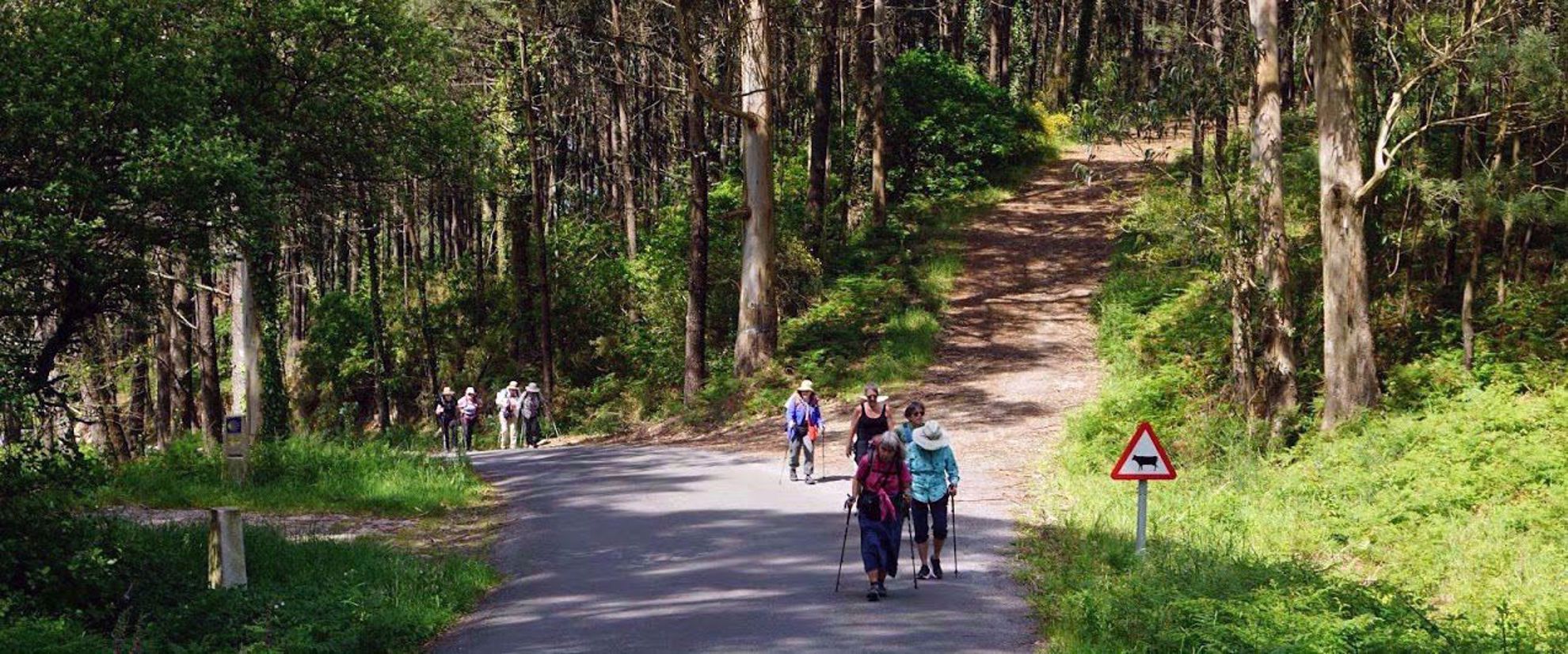 Women's group tour hiking the camino de santiago