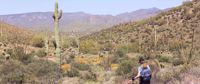 Woman hiking in the Sonoran Desert near Tucson Woman hiking near A Saguaro cactus in the Sonoran Desert near Tucson