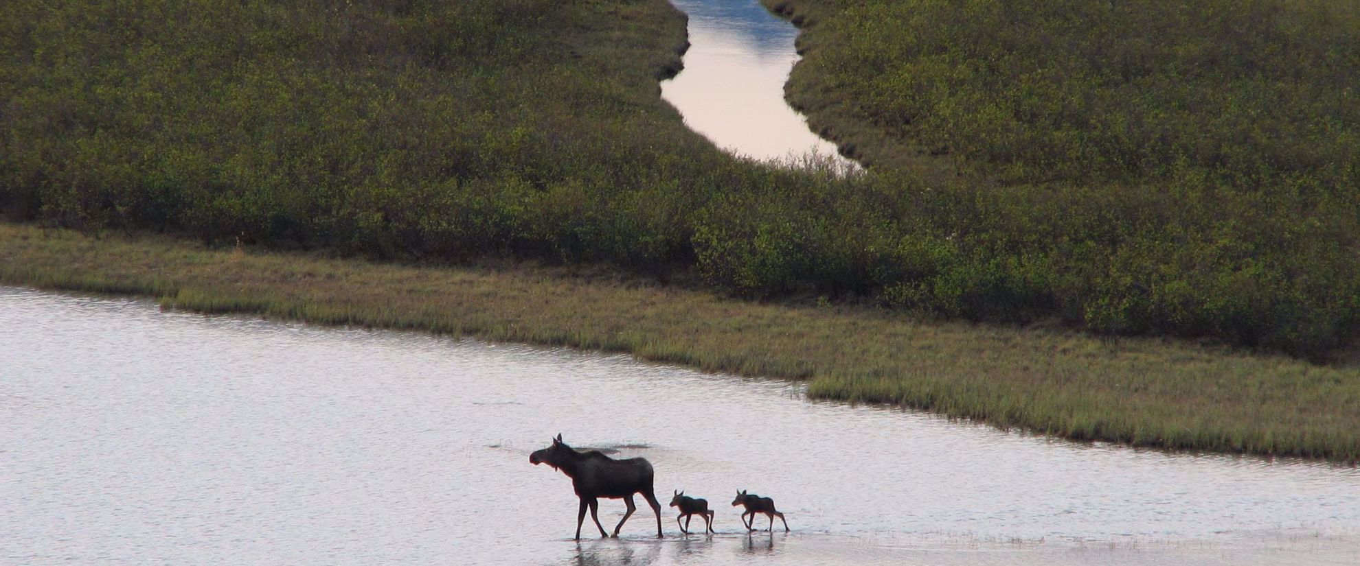 Picture of Alaska: Anchorage to Fairbanks