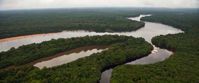 Aerial View of the Essequibo River in Guyana