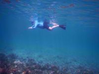 Snorkeling in Panama