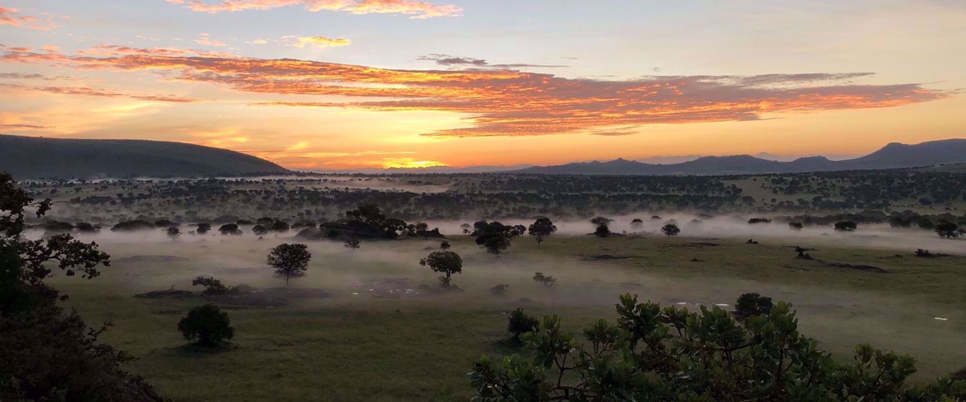 Picture of Kilimanjaro Climb and Safari Vibrant Tanzanian sunset