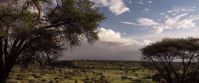 Picture of Kilimanjaro Climb and Safari beautiful tanzania