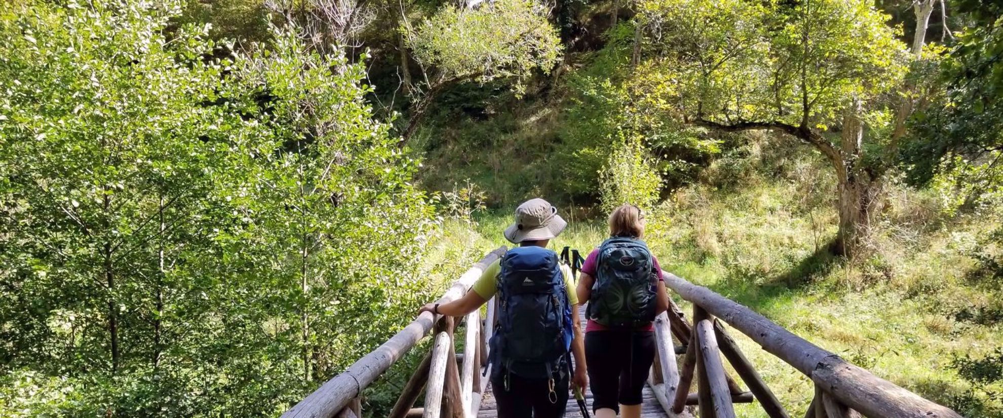 women walking on bridge in lush green forest bulgarian mountains