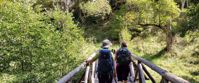 Picture of Bulgaria's Mountains And Monasteries women walking on bridge in lush green forest bulgarian mountains