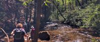 Picture of Waterfalls, Wildflowers, and Wineries women hiking through the mountains of georgia