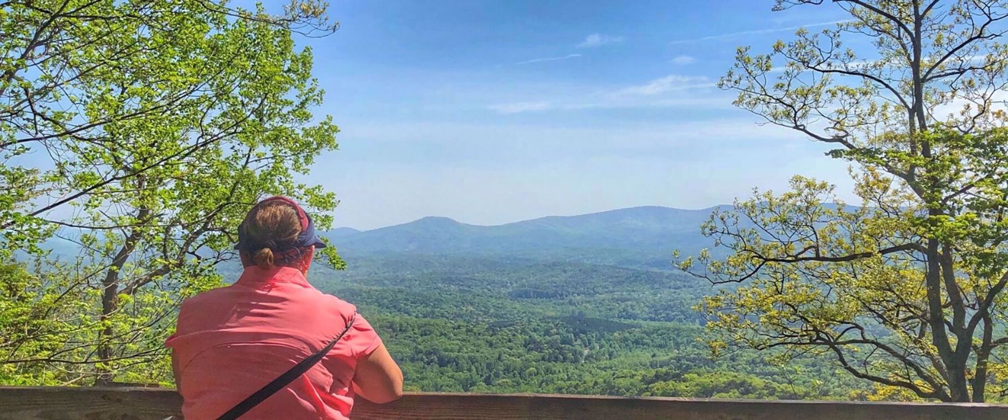 Picture of Waterfalls, Wildflowers, and Wineries woman looking at Appalachian mountains in Georgia on balcony
