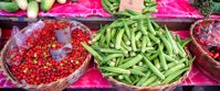 Picture of Wings and Wonders of Guyana - A Naturalist's Paradise tasty guyanese market finds
