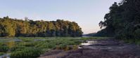 Picture of Wings and Wonders of Guyana - A Naturalist's Paradise Guyana river landscape photo