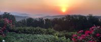 Picture of Appalachian Autumn Adventures appalachian sunset