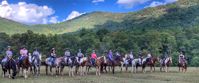Women's group horseback riding adventure through the Appalachian Trail